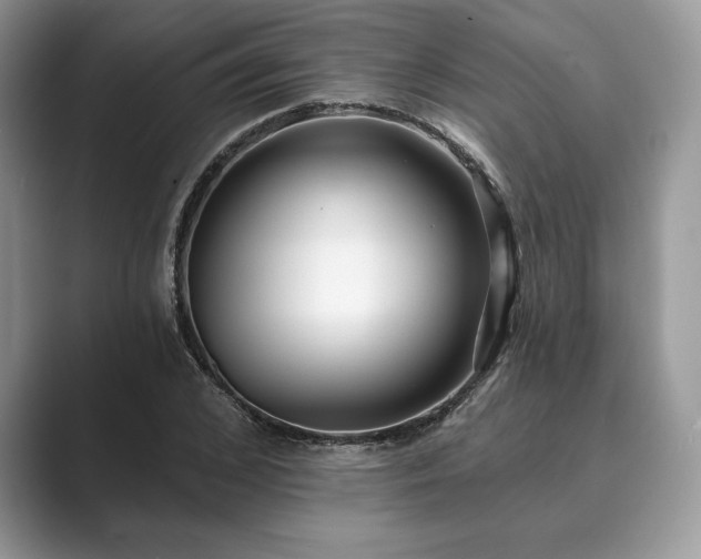 X0000089900976200707051305