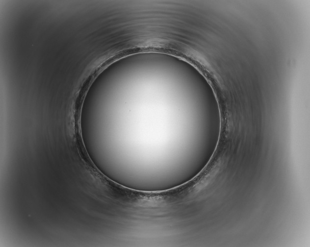 X0000089900978200707051305