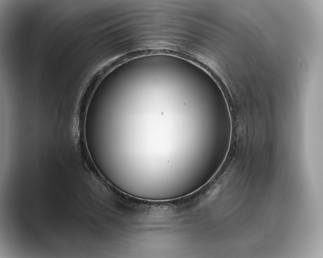 X0000089900979200707051305