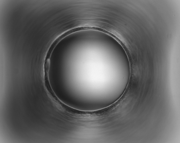 X0000089900980200707051305