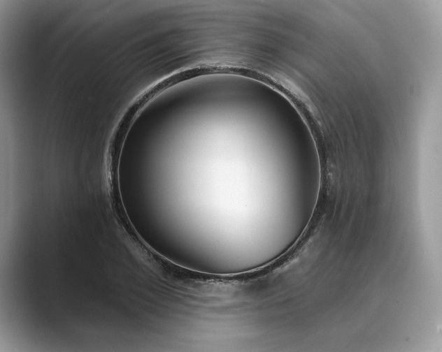 X0000089900981200707051305