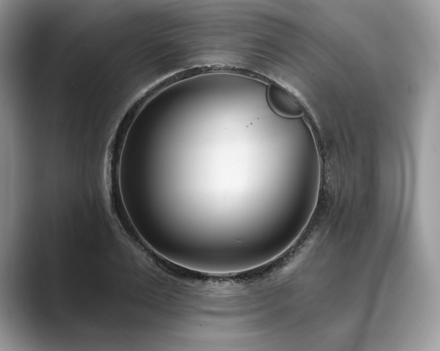 X0000089900983200707051304