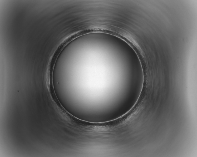 X0000089900984200707051304