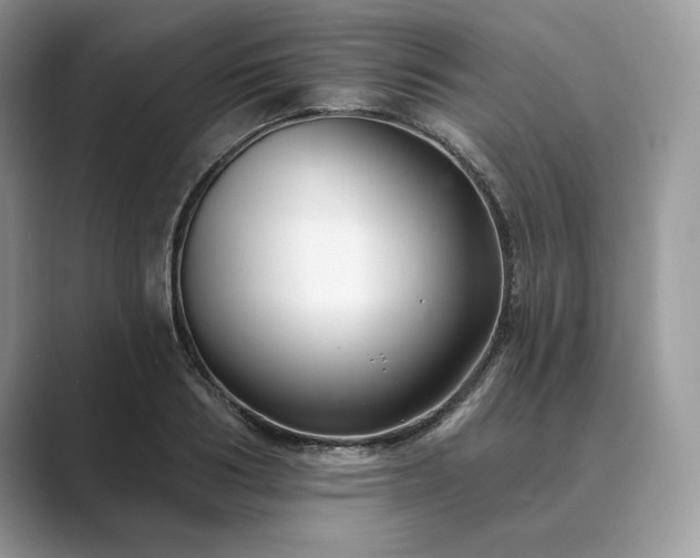 X0000089900986200707051304