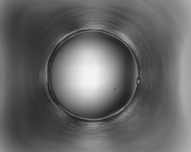 X0000089900988200707051304