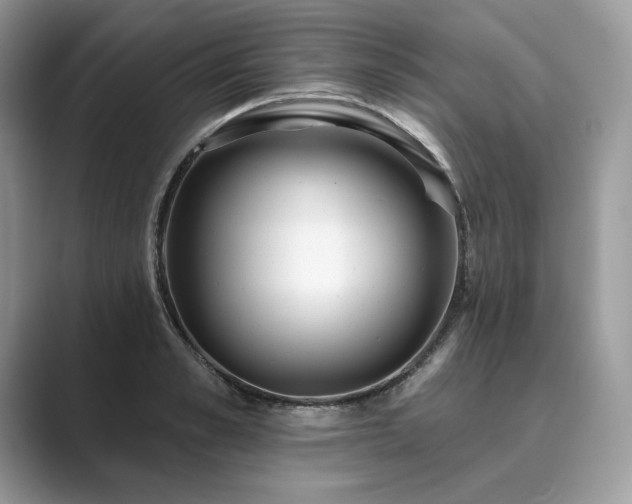 X0000089900989200707051304