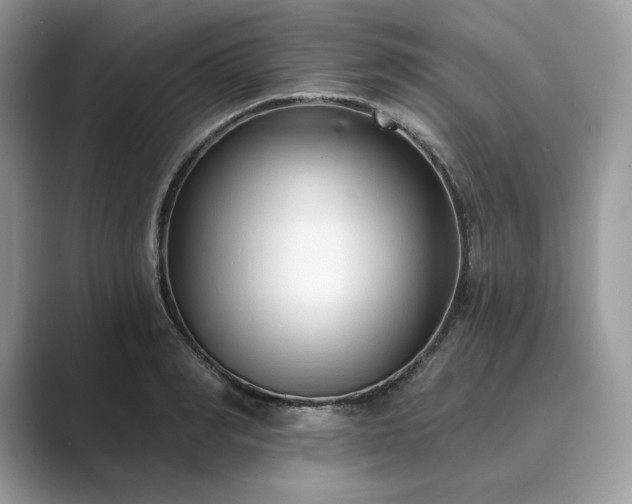 X0000089900990200707051304