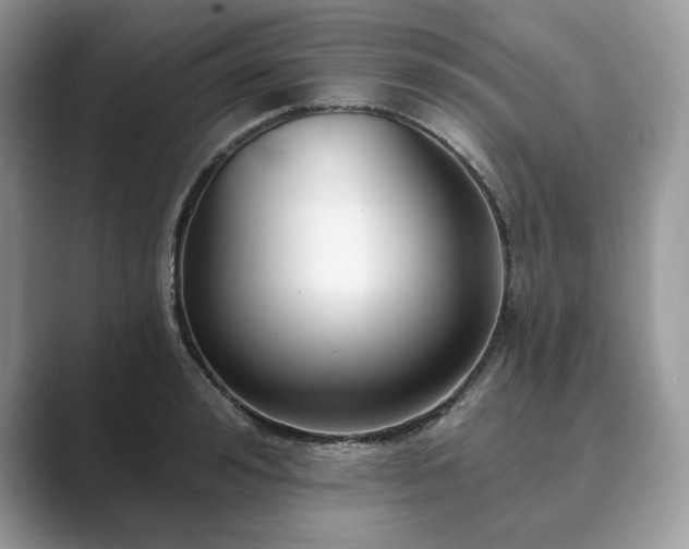 X0000089900992200707051304