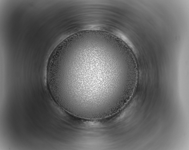 X0000089900994200707051304