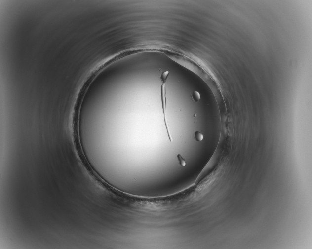 X0000089900995200707051304