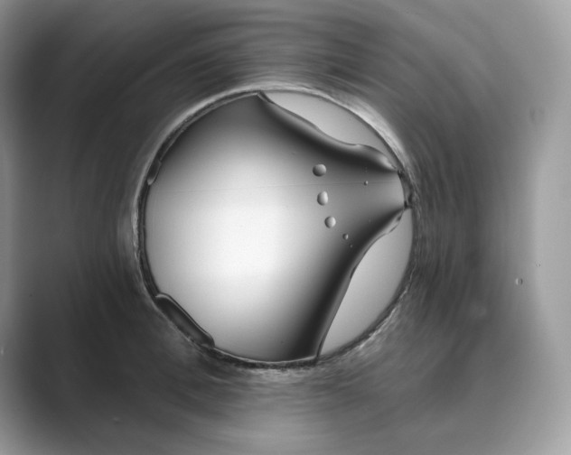 X0000089900996200707051304