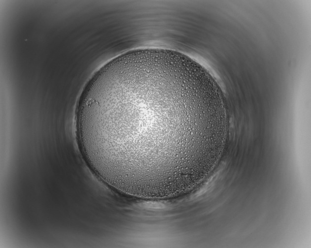 X0000089900998200707051304