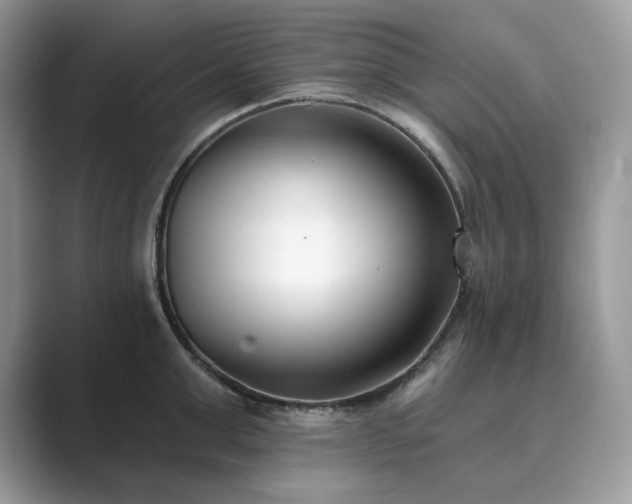 X0000089900999200707051304