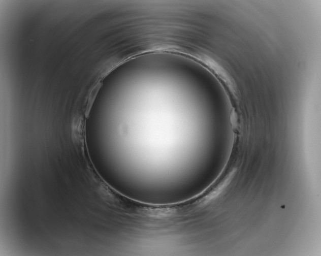 X0000089901001200707051304