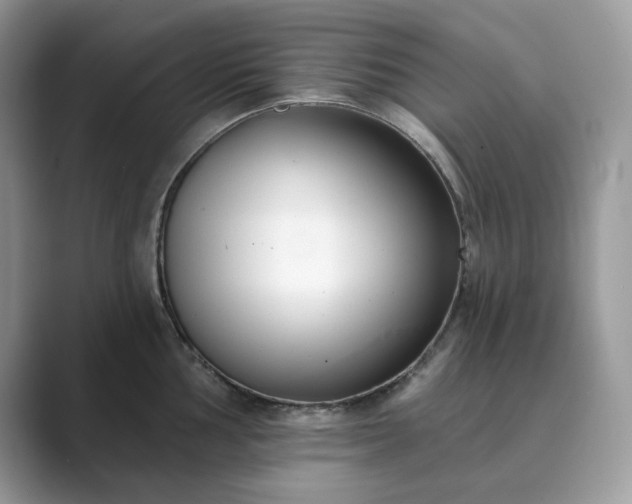 X0000089901002200707051304