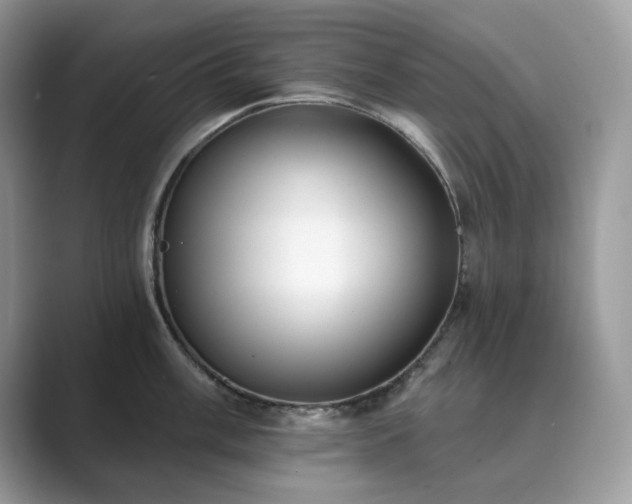 X0000089901003200707051304