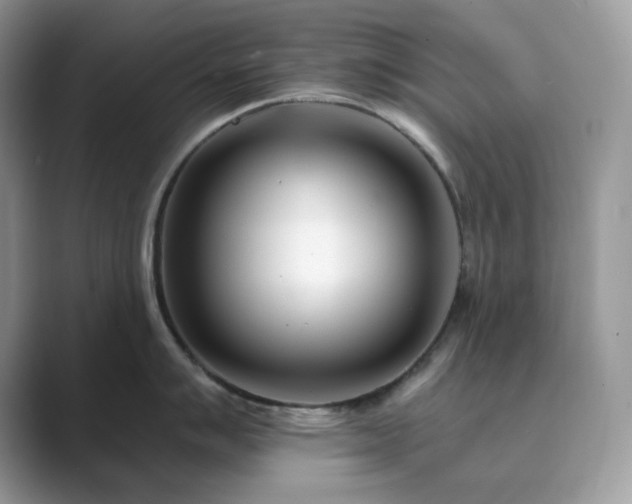 X0000089901007200707051304