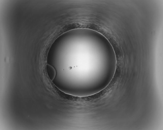 X0000089901009200707051304