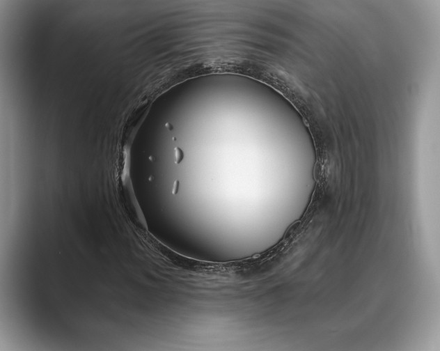 X0000089901012200707051304