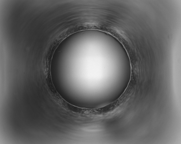 X0000089901015200707051304