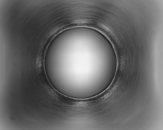 X0000089901017200707051304