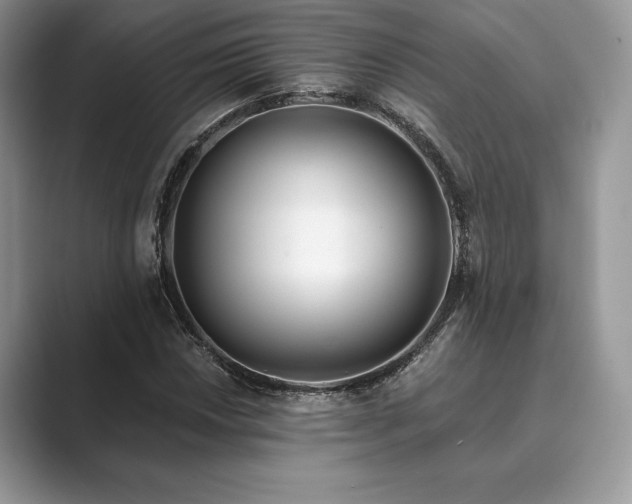 X0000089901018200707051304