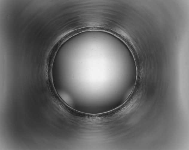 X0000089901019200707051304