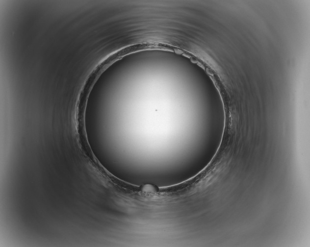 X0000089901020200707051304