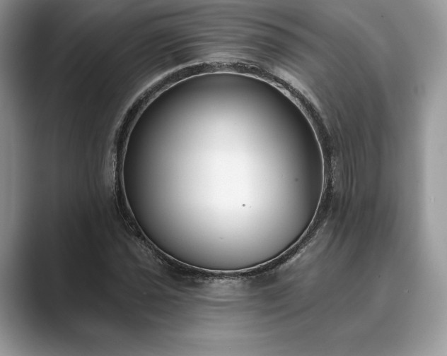 X0000089901021200707051304