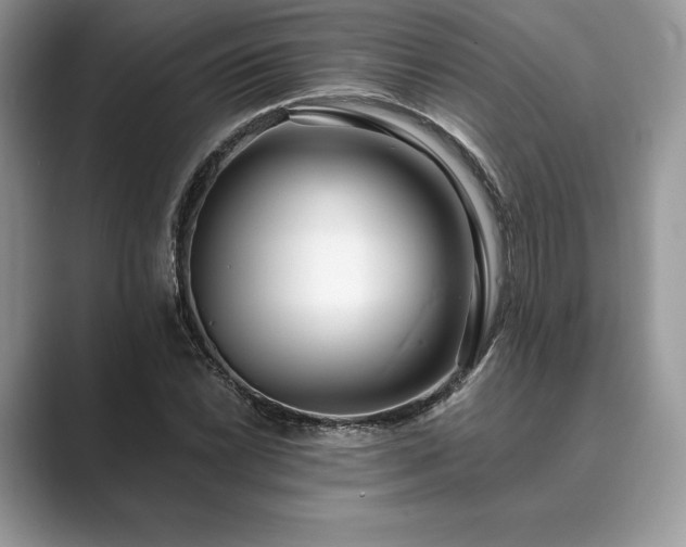 X0000089901022200707051304