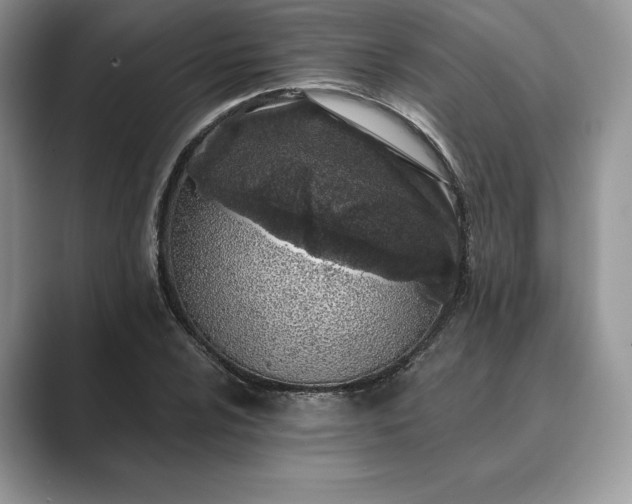 X0000089901024200707051304