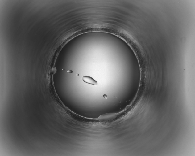 X0000089901025200707051304