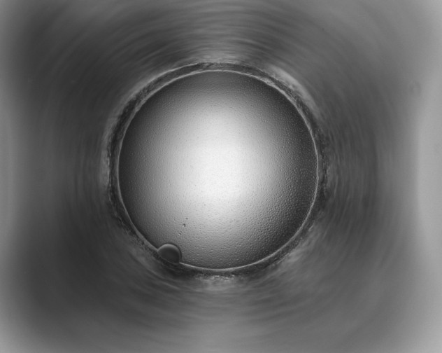 X0000089901027200707051304