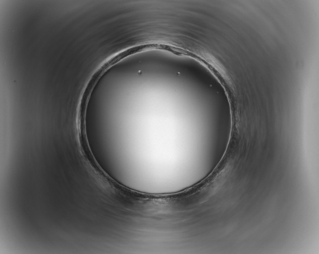 X0000089901028200707051304