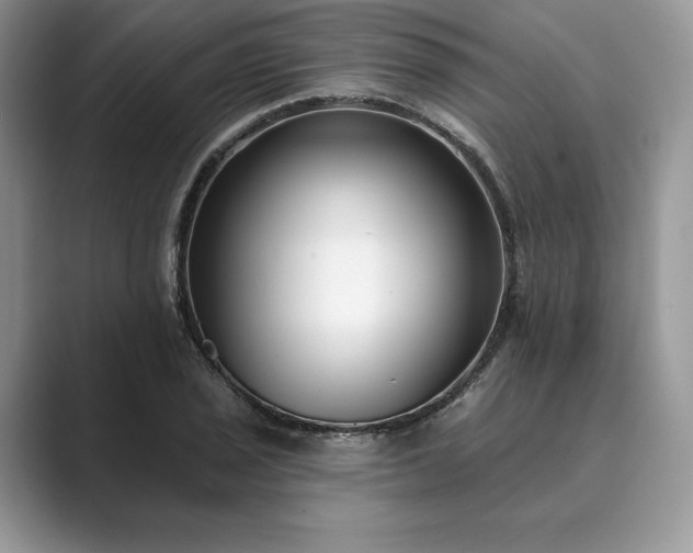 X0000089901029200707051304