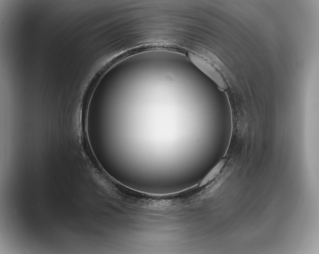 X0000089901030200707051304