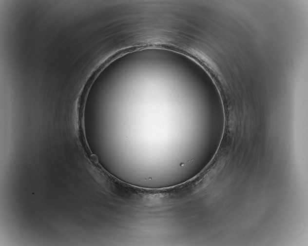 X0000089901031200707051304