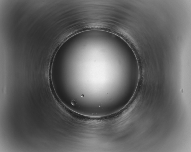 X0000089901033200707051304