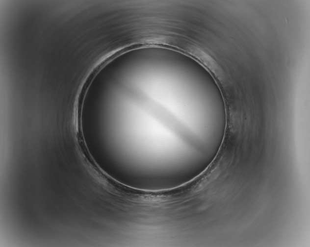X0000089901036200707051304