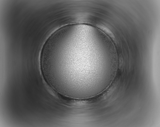 X0000089901039200707051304