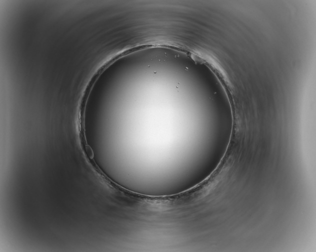X0000089901040200707051304
