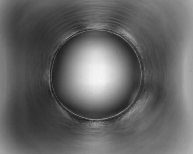 X0000089901041200707051304