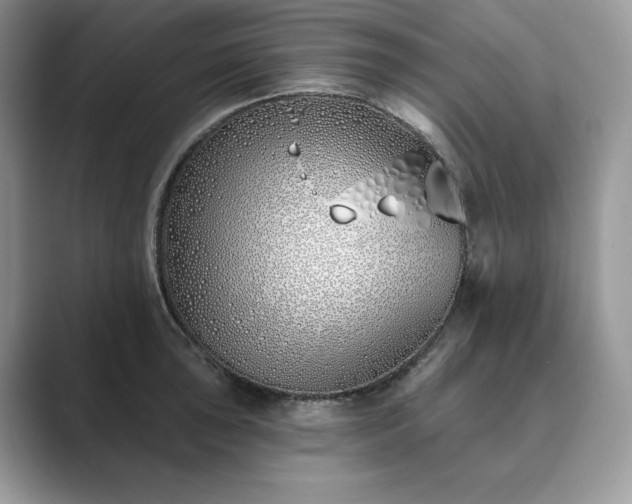 X0000089901043200707051304