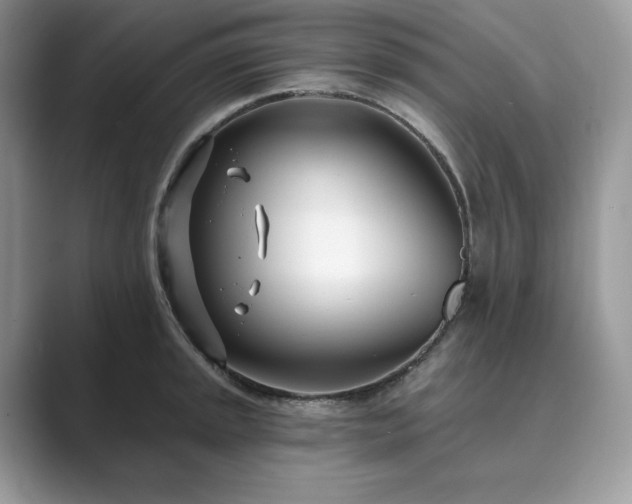 X0000089901045200707051304