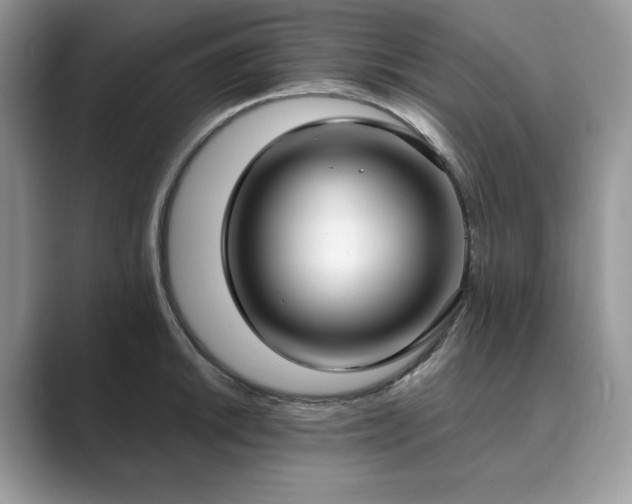 X0000089901046200707051304