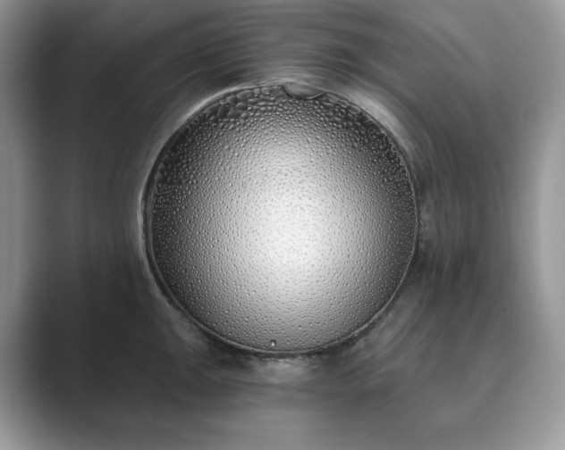 X0000089901047200707051304
