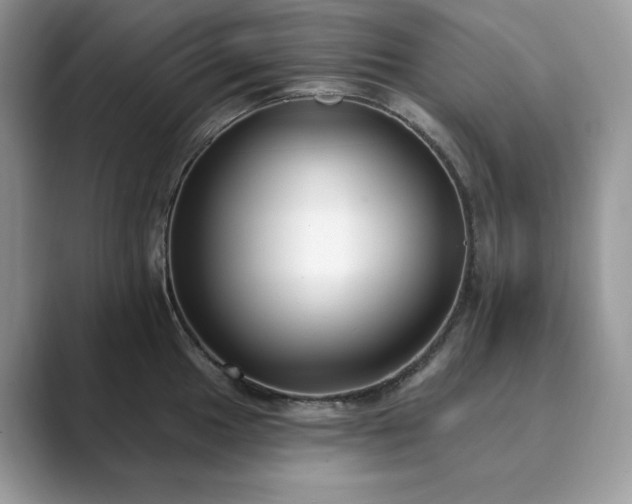 X0000089901049200707051304