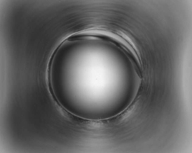 X0000089901050200707051304