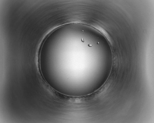 X0000089901051200707051304