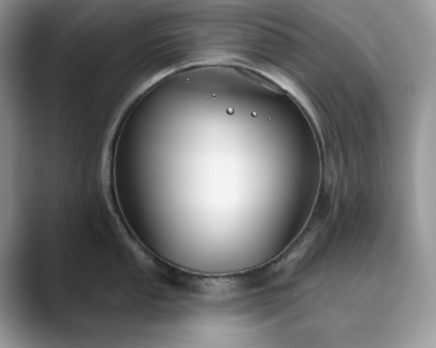X0000089901053200707051304